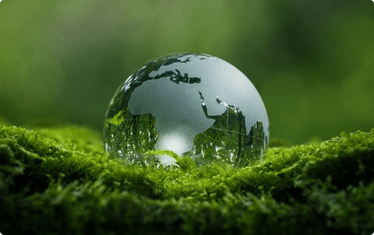 DeepSeek宣布新版R1模型：实测编程能力达国际一线水平